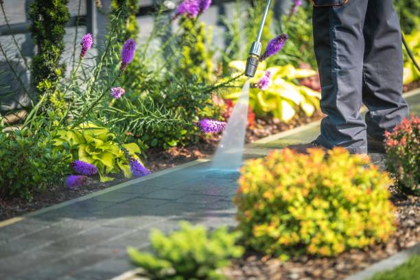 Best Driveway Pressure Washing  in Mount Vernon, NY