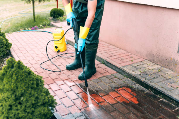 Best Building Exterior Washing  in Mount Vernon, NY